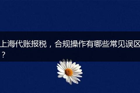 上海代賬報稅，合規(guī)操作有哪些常見誤區(qū)？