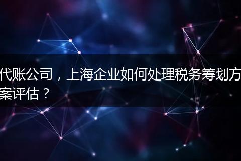 代賬公司，上海企業(yè)如何處理稅務(wù)籌劃方案評估？