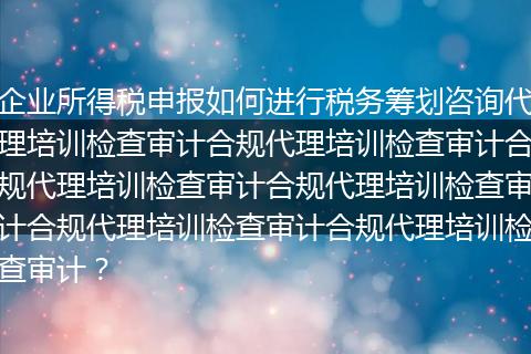 企業(yè)所得稅申報(bào)如何進(jìn)行稅務(wù)籌劃咨詢代理培訓(xùn)檢查審計(jì)合規(guī)代理培訓(xùn)檢查審計(jì)合規(guī)代理培訓(xùn)檢查審計(jì)合規(guī)代理培訓(xùn)檢查審計(jì)合規(guī)代理培訓(xùn)檢查審計(jì)合規(guī)代理培訓(xùn)檢查審計(jì)？