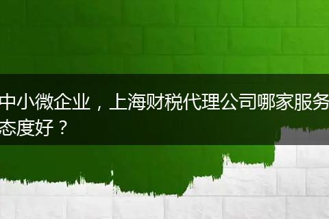 中小微企業(yè)，上海財(cái)稅代理公司哪家服務(wù)態(tài)度好？
