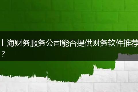 上海財(cái)務(wù)服務(wù)公司能否提供財(cái)務(wù)軟件推薦？