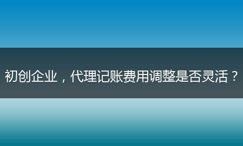 初創(chuàng)企業(yè)，代理記賬費(fèi)用調(diào)整是否靈活？