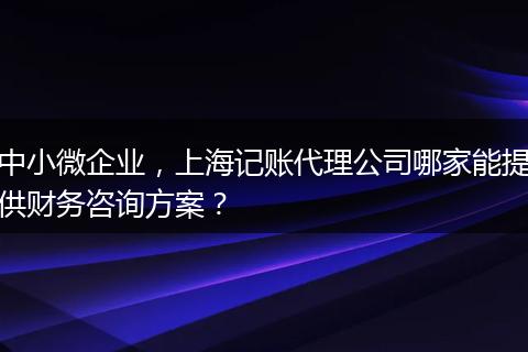 中小微企業(yè)，上海記賬代理公司哪家能提供財務咨詢方案？
