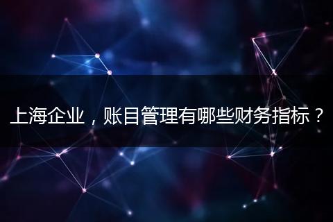 上海企業(yè)，賬目管理有哪些財(cái)務(wù)指標(biāo)？
