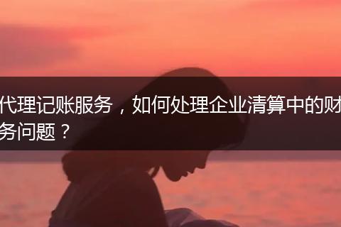 代理記賬服務(wù)，如何處理企業(yè)清算中的財(cái)務(wù)問題？