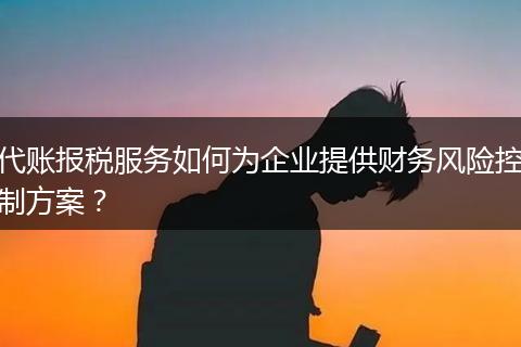 代賬報(bào)稅服務(wù)如何為企業(yè)提供財(cái)務(wù)風(fēng)險(xiǎn)控制方案？