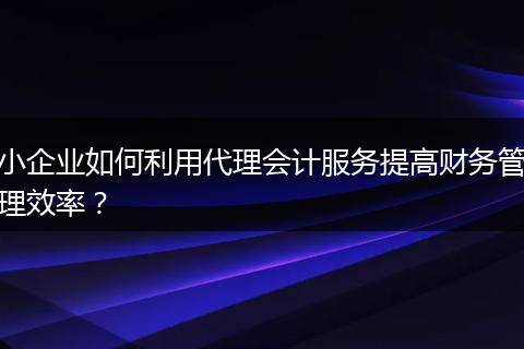 小企業(yè)如何利用代理會計服務(wù)提高財務(wù)管理效率？