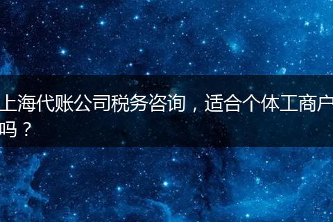 上海代賬公司稅務(wù)咨詢，適合個(gè)體工商戶嗎？