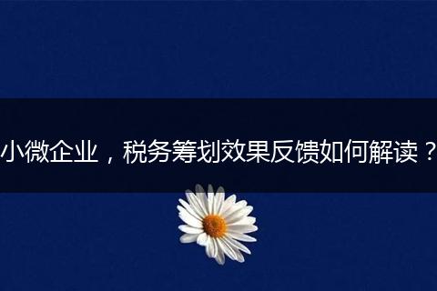 小微企業(yè)，稅務(wù)籌劃效果反饋如何解讀？
