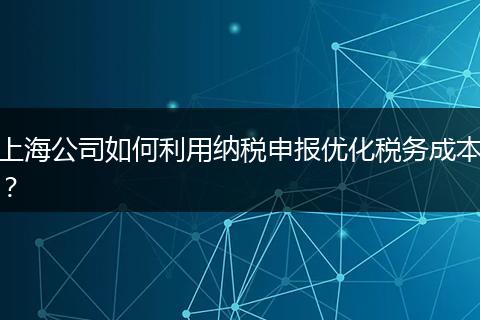 上海公司如何利用納稅申報(bào)優(yōu)化稅務(wù)成本？