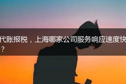 代賬報(bào)稅，上海哪家公司服務(wù)響應(yīng)速度快？