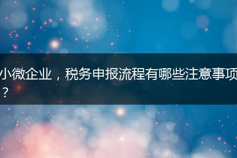 小微企業(yè)，稅務(wù)申報(bào)流程有哪些注意事項(xiàng)？