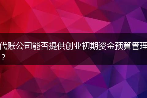 代賬公司能否提供創(chuàng)業(yè)初期資金預(yù)算管理？