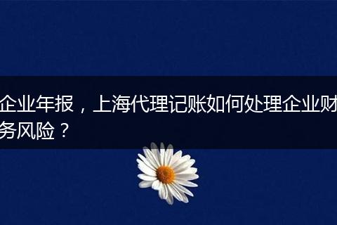 企業(yè)年報，上海代理記賬如何處理企業(yè)財務(wù)風險？