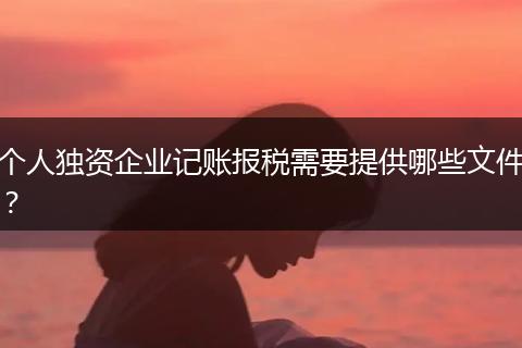 個人獨資企業(yè)記賬報稅需要提供哪些文件？