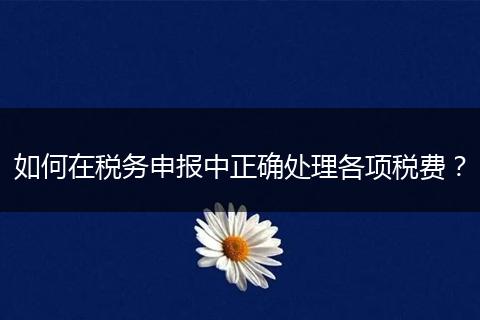 如何在稅務(wù)申報中正確處理各項稅費？