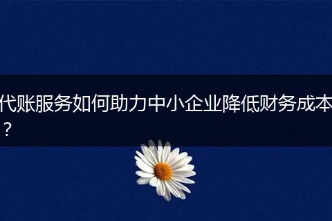 代賬服務(wù)如何助力中小企業(yè)降低財務(wù)成本？