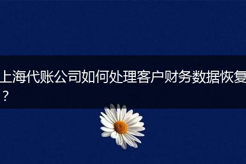 上海代賬公司如何處理客戶財務(wù)數(shù)據(jù)恢復(fù)?