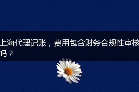 上海代理記賬，費(fèi)用包含財(cái)務(wù)合規(guī)性審核嗎？