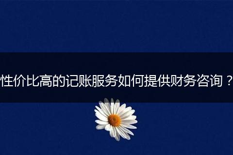 性價(jià)比高的記賬服務(wù)如何提供財(cái)務(wù)咨詢？