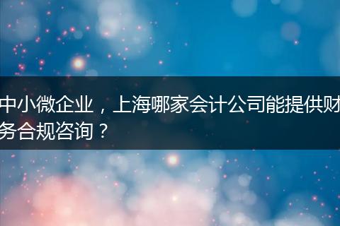 中小微企業(yè)，上海哪家會計公司能提供財務合規(guī)咨詢？