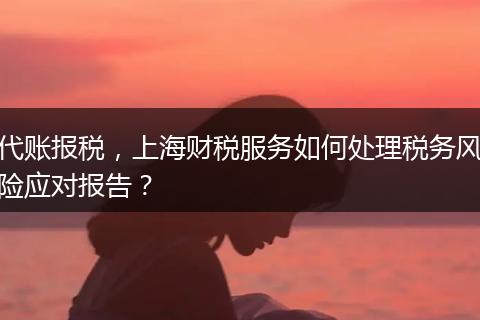 代賬報稅，上海財稅服務(wù)如何處理稅務(wù)風險應(yīng)對報告？