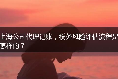 上海公司代理記賬，稅務風險評估流程是怎樣的？