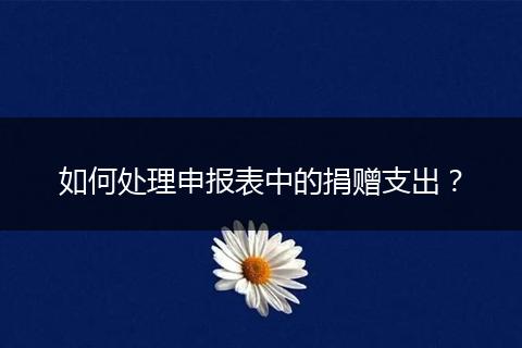 如何處理申報(bào)表中的捐贈(zèng)支出？