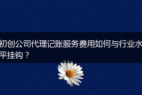 初創(chuàng)公司代理記賬服務(wù)費(fèi)用如何與行業(yè)水平掛鉤?