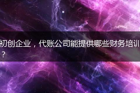 初創(chuàng)企業(yè)，代賬公司能提供哪些財(cái)務(wù)培訓(xùn)？