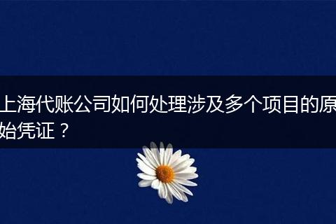 上海代賬公司如何處理涉及多個(gè)項(xiàng)目的原始憑證？