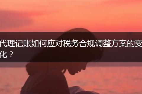 代理記賬如何應(yīng)對(duì)稅務(wù)合規(guī)調(diào)整方案的變化?