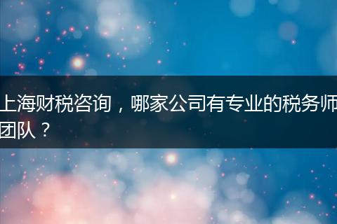 上海財(cái)稅咨詢，哪家公司有專業(yè)的稅務(wù)師團(tuán)隊(duì)？
