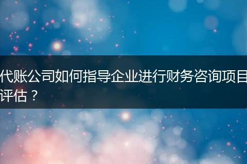 代賬公司如何指導(dǎo)企業(yè)進行財務(wù)咨詢項目評估？