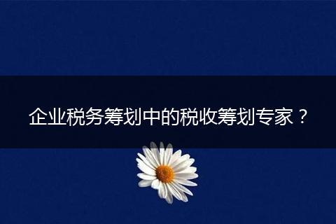 企業(yè)稅務(wù)籌劃中的稅收籌劃專家？