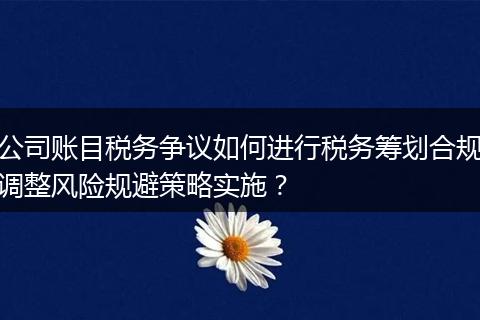 公司賬目稅務爭議如何進行稅務籌劃合規(guī)調整風險規(guī)避策略實施？