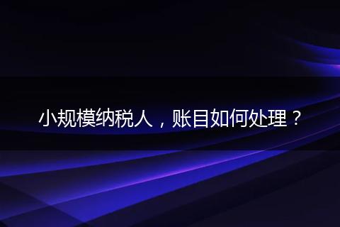 小規(guī)模納稅人，賬目如何處理？