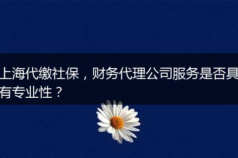 上海代繳社保，財務(wù)代理公司服務(wù)是否具有專業(yè)性？