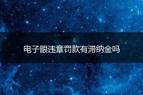 電子眼違章罰款有滯納金嗎