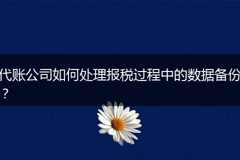 代賬公司如何處理報(bào)稅過程中的數(shù)據(jù)備份？