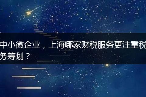 中小微企業(yè)，上海哪家財稅服務(wù)更注重稅務(wù)籌劃？