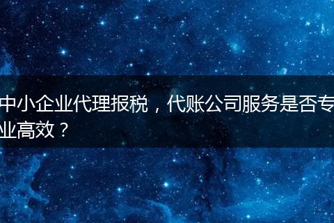中小企業(yè)代理報稅，代賬公司服務(wù)是否專業(yè)高效？