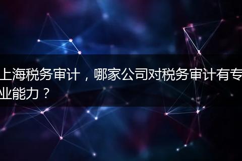 上海稅務(wù)審計(jì)，哪家公司對(duì)稅務(wù)審計(jì)有專業(yè)能力？