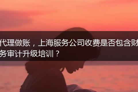 代理做賬，上海服務(wù)公司收費(fèi)是否包含財(cái)務(wù)審計(jì)升級(jí)培訓(xùn)？