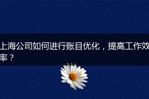 上海公司如何進行賬目優(yōu)化，提高工作效率？