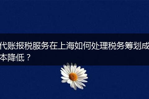 代賬報稅服務在上海如何處理稅務籌劃成本降低?