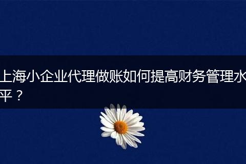 上海小企業(yè)代理做賬如何提高財(cái)務(wù)管理水平？