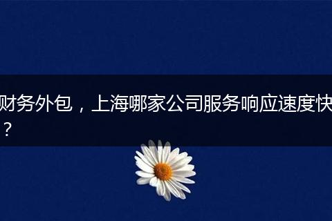 財務外包，上海哪家公司服務響應速度快？
