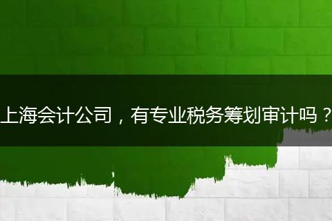 上海會(huì)計(jì)公司，有專業(yè)稅務(wù)籌劃審計(jì)嗎？