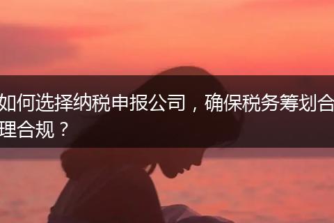 如何選擇納稅申報(bào)公司，確保稅務(wù)籌劃合理合規(guī)？